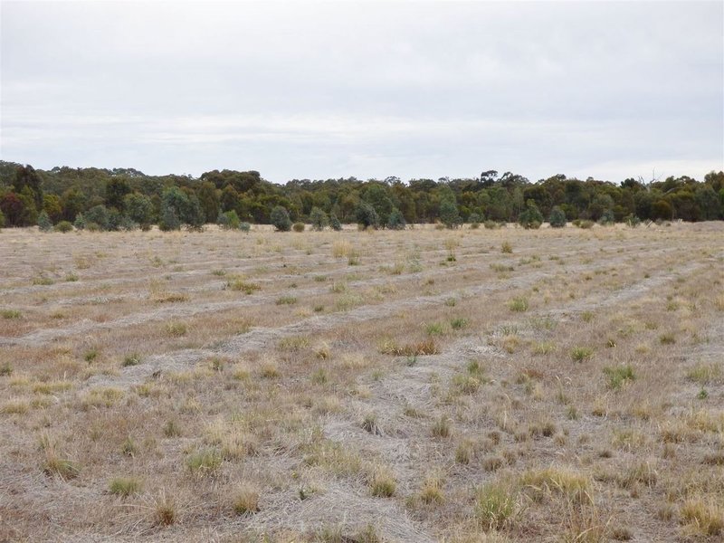 Photo - Lot 2 Wards Road, Haven VIC 3401 - Image 11