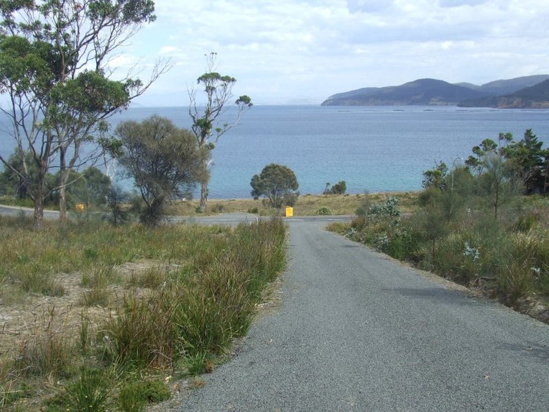 Photo - Lot 2 White Beach Road, White Beach TAS 7184 - Image 7