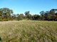 Photo - Lot 2 White Patch Road, Moyston VIC 3377 - Image 3