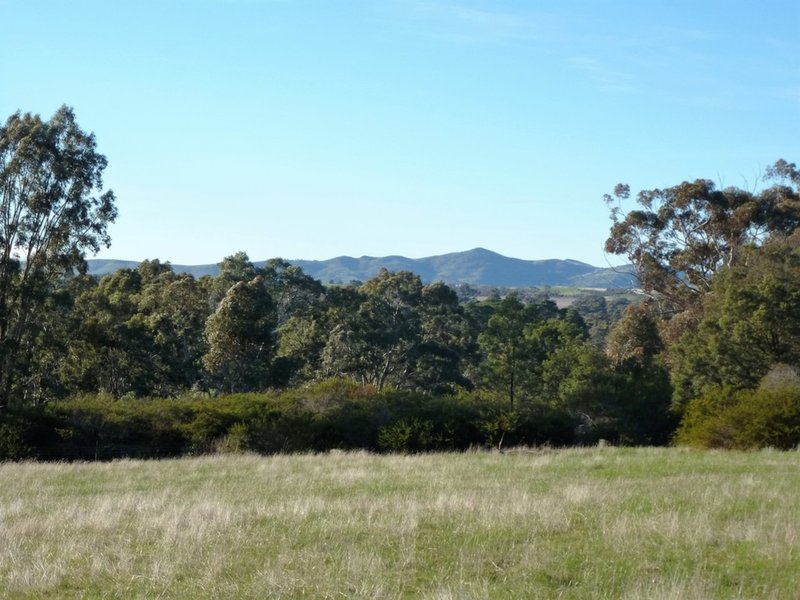 Photo - Lot 2 White Patch Road, Moyston VIC 3377 - Image 5