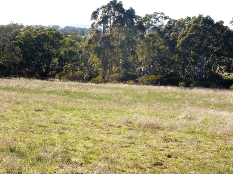 Photo - Lot 2 White Patch Road, Moyston VIC 3377 - Image 6
