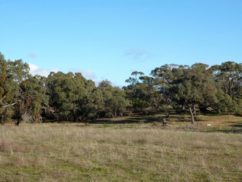 Photo - Lot 2 White Patch Road, Moyston VIC 3377 - Image 8