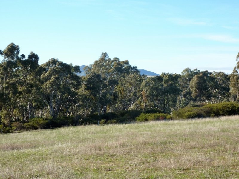 Photo - Lot 2 White Patch Road, Moyston VIC 3377 - Image 10
