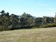 Photo - Lot 2 White Patch Road, Moyston VIC 3377 - Image 10