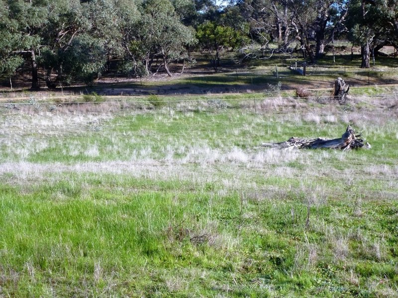 Photo - Lot 2 White Patch Road, Moyston VIC 3377 - Image 12