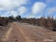 Photo - Lot 2 Yerramin Road, Perup WA 6258 - Image 7