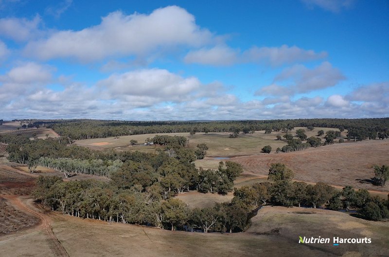 Photo - Lot 2 Yerramin Road, Perup WA 6258 - Image 20