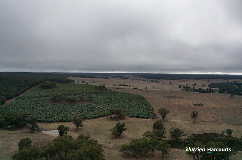 Photo - Lot 2 Yerramin Road, Perup WA 6258 - Image 2