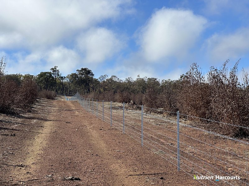 Photo - Lot 2 Yerramin Road, Perup WA 6258 - Image 7