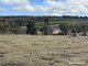 Photo - Lot 2 Yerramin Road, Perup WA 6258 - Image 23