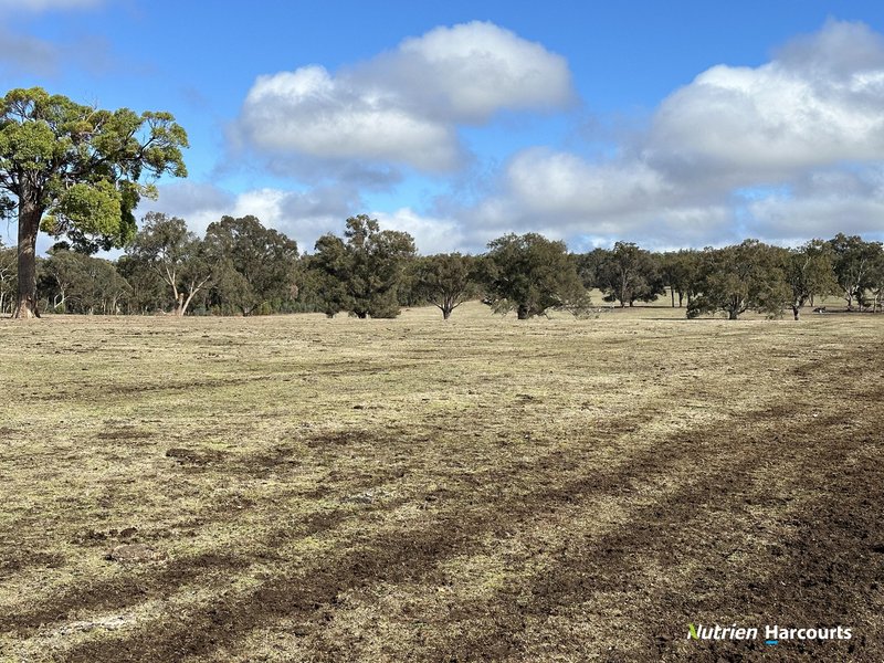 Photo - Lot 2 Yerramin Road, Perup WA 6258 - Image 24