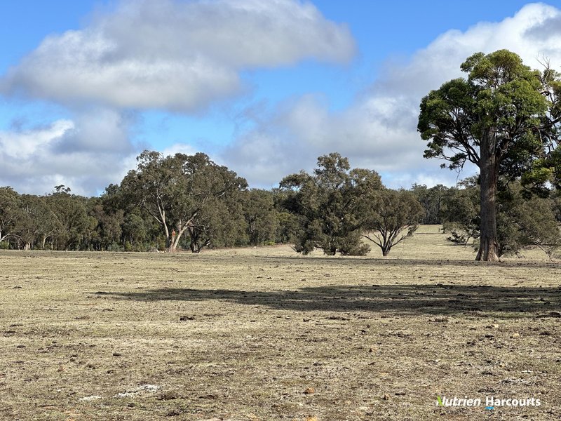 Photo - Lot 2 Yerramin Road, Perup WA 6258 - Image 25