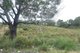 Photo - Lot 2 Zeehan Highway, Zeehan TAS 7469 - Image 1