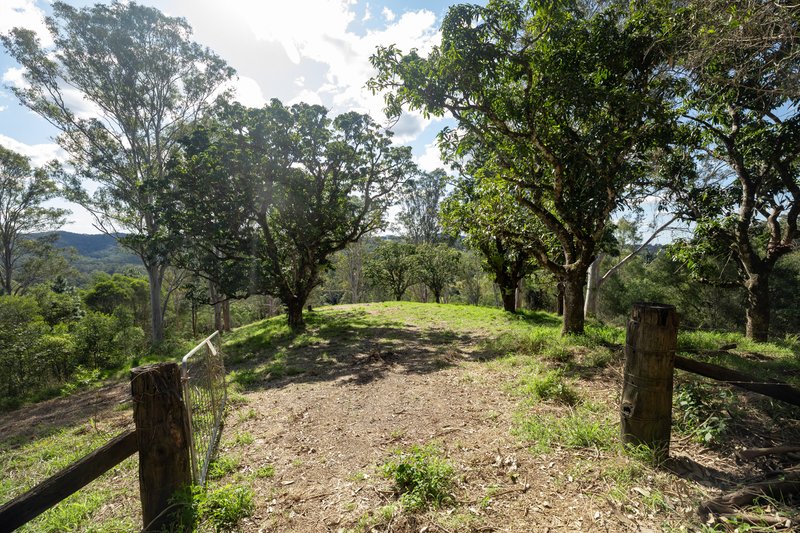 Photo - Lot 20 124 Top Forestry Road, Ridgewood QLD 4563 - Image 3