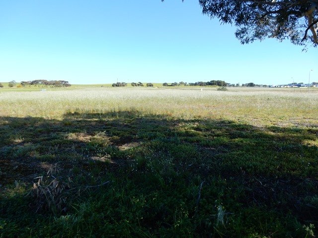 Photo - Lot 20 Bowman Road, Ardrossan SA 5571 - Image 2