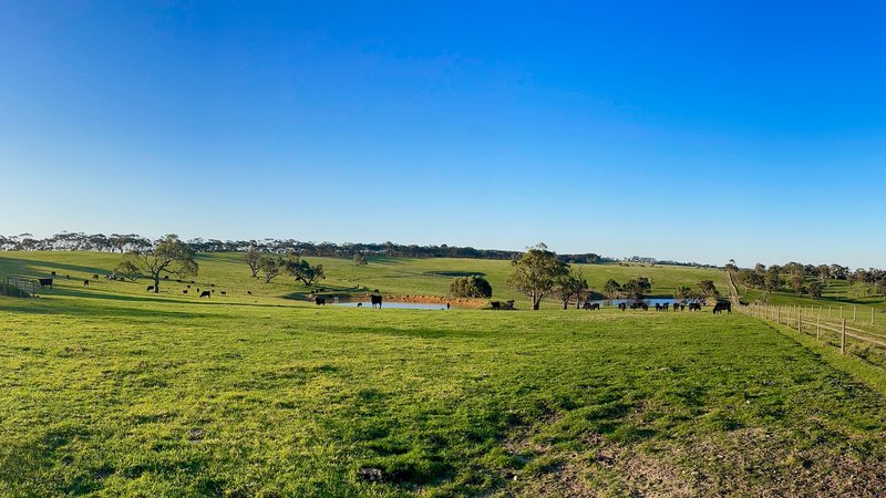 Lot 20 Cole Crossing Road, Mount Magnificent SA 5210