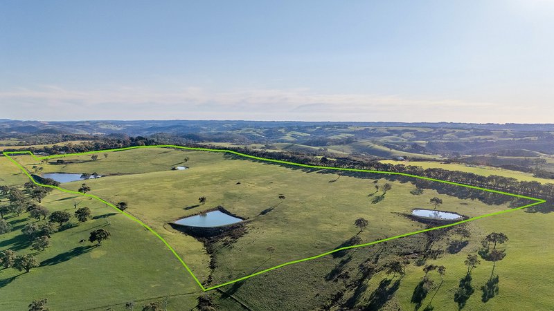 Photo - Lot 20 Cole Crossing Road, Mount Magnificent SA 5210 - Image 5