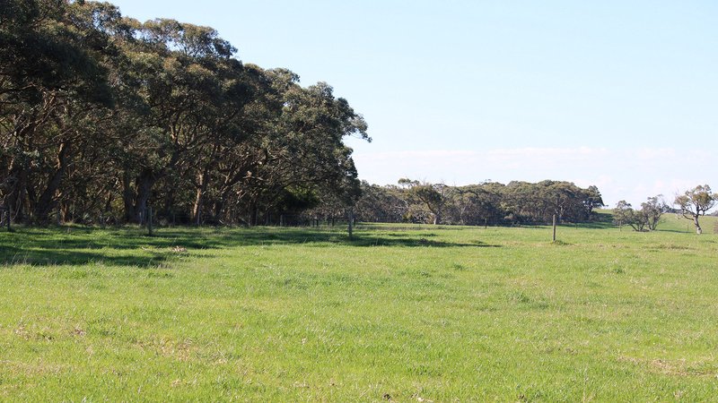 Photo - Lot 20 Cole Crossing Road, Mount Magnificent SA 5210 - Image 22