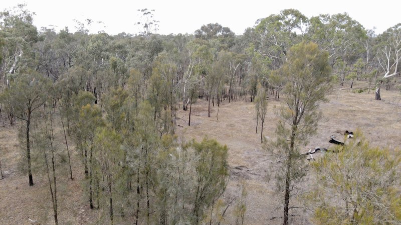 Photo - Lot 20 Danbys Road, Bangham SA 5268 - Image 10