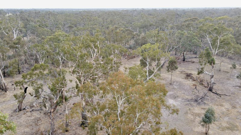 Photo - Lot 20 Danbys Road, Bangham SA 5268 - Image 14