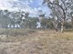 Photo - Lot 20 Danbys Road, Bangham SA 5268 - Image 15