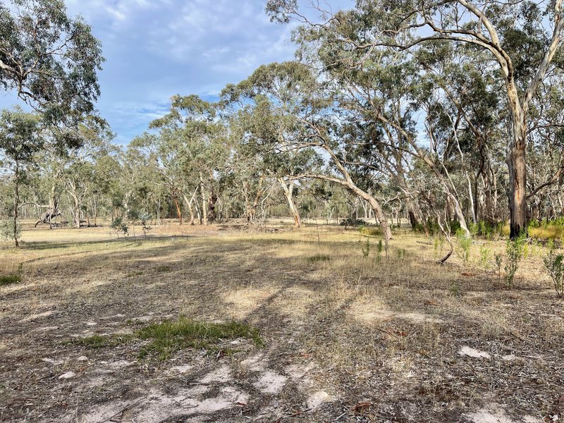 Photo - Lot 20 Danbys Road, Bangham SA 5268 - Image 16