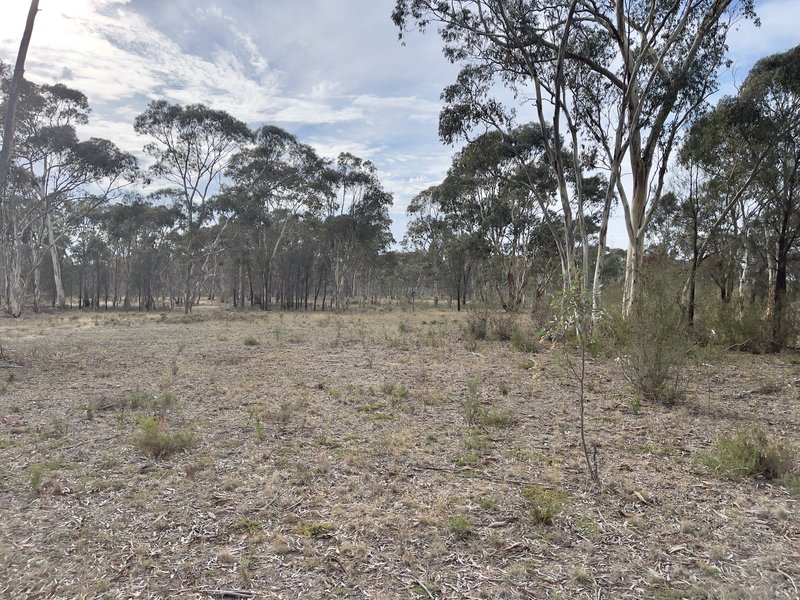 Photo - Lot 20 Danbys Road, Bangham SA 5268 - Image 17