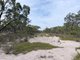 Photo - Lot 20 Danbys Road, Bangham SA 5268 - Image 26