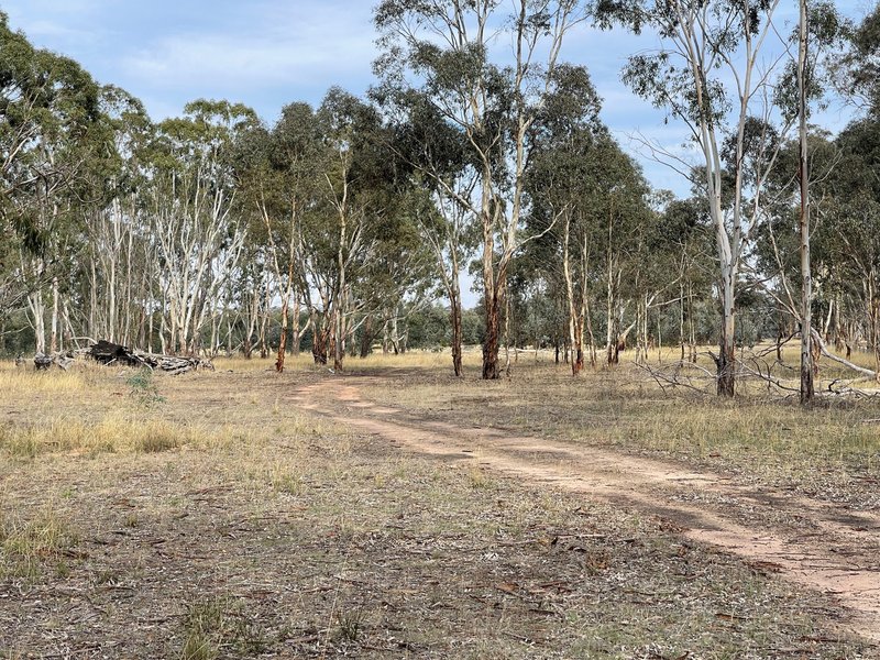 Photo - Lot 20 Danbys Road, Bangham SA 5268 - Image 32