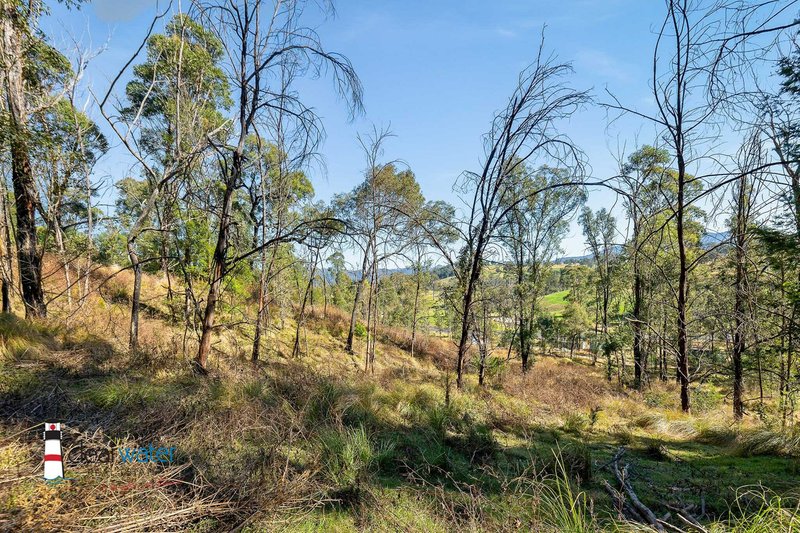 Photo - Lot 20, Lot 21, Lot And Lot 25 Cowdery Street, Cobargo NSW 2550 - Image 3