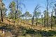 Photo - Lot 20, Lot 21, Lot And Lot 25 Cowdery Street, Cobargo NSW 2550 - Image 3