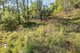 Photo - Lot 20, Lot 21, Lot And Lot 25 Cowdery Street, Cobargo NSW 2550 - Image 5