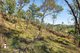 Photo - Lot 20, Lot 21, Lot And Lot 25 Cowdery Street, Cobargo NSW 2550 - Image 6