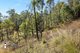 Photo - Lot 20, Lot 21, Lot And Lot 25 Cowdery Street, Cobargo NSW 2550 - Image 10