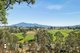 Photo - Lot 20, Lot 21, Lot And Lot 25 Cowdery Street, Cobargo NSW 2550 - Image 13