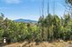 Photo - Lot 20, Lot 21, Lot And Lot 25 Cowdery Street, Cobargo NSW 2550 - Image 17