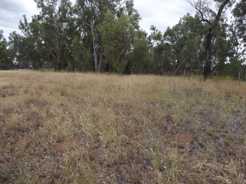 Photo - Lot 20 Melrose Drive, Clermont QLD 4721 - Image 1