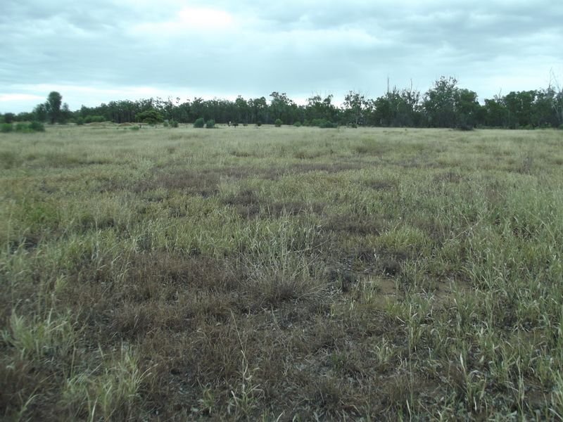 Photo - Lot 20 Melrose Drive, Clermont QLD 4721 - Image 3