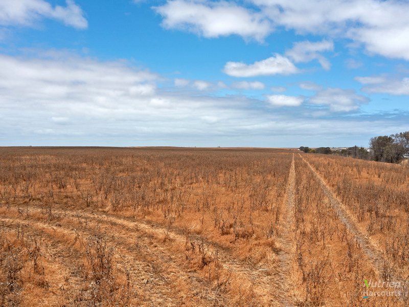 Photo - Lot 201 Gypsum Pit Road, Honiton Via , Yorketown SA 5576 - Image 10