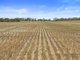 Photo - Lot 201 Pipeline Road, Arthurton SA 5572 - Image 1