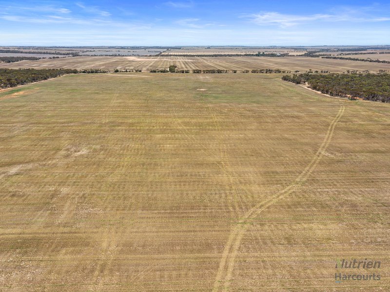 Photo - Lot 201 Pipeline Road, Arthurton SA 5572 - Image 7