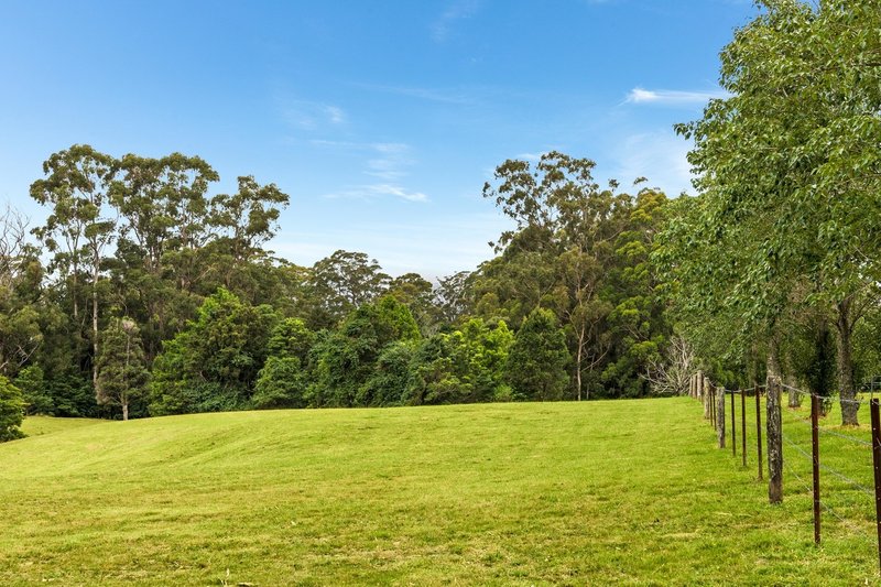 Photo - Lot 202 Tourist Road, Berry NSW 2535 - Image 4