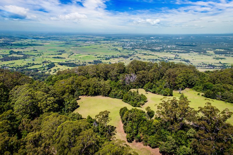 Photo - Lot 202 Tourist Road, Berry NSW 2535 - Image 7