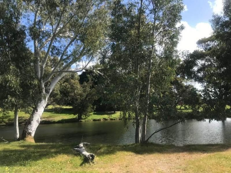 Photo - Lot 205 Nanga Brook Rd , Waroona WA 6215 - Image 6