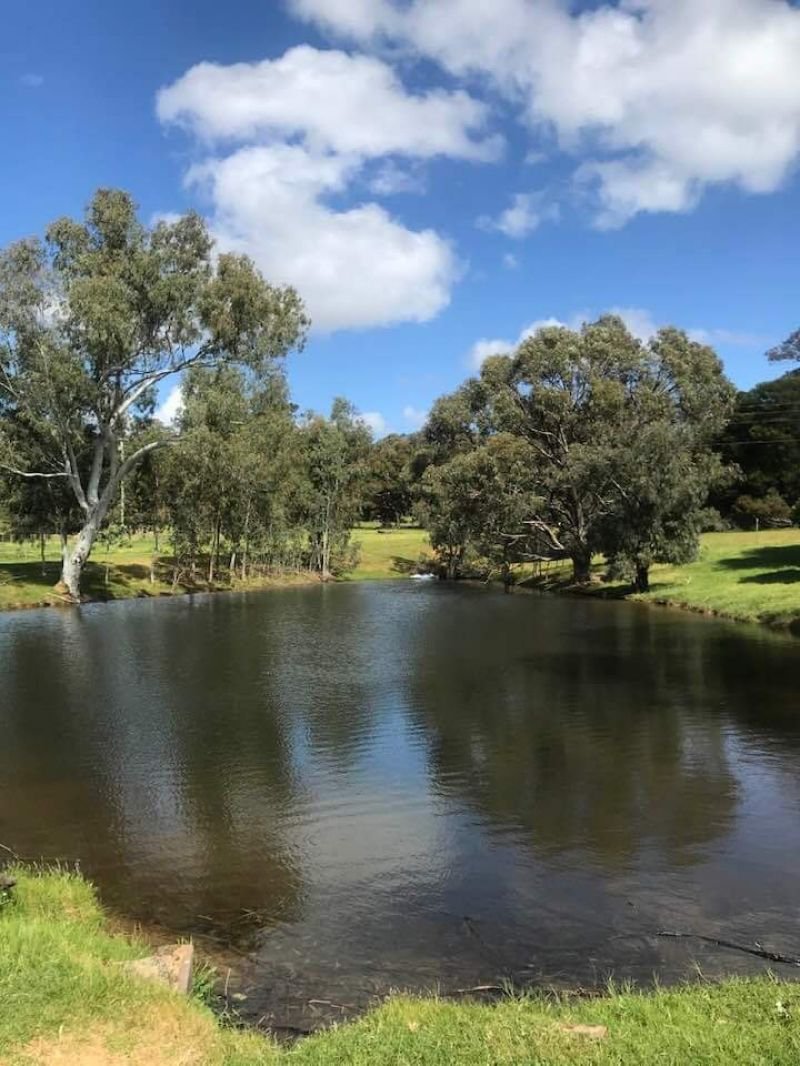 Photo - Lot 205 Nanga Brook Rd , Waroona WA 6215 - Image 10