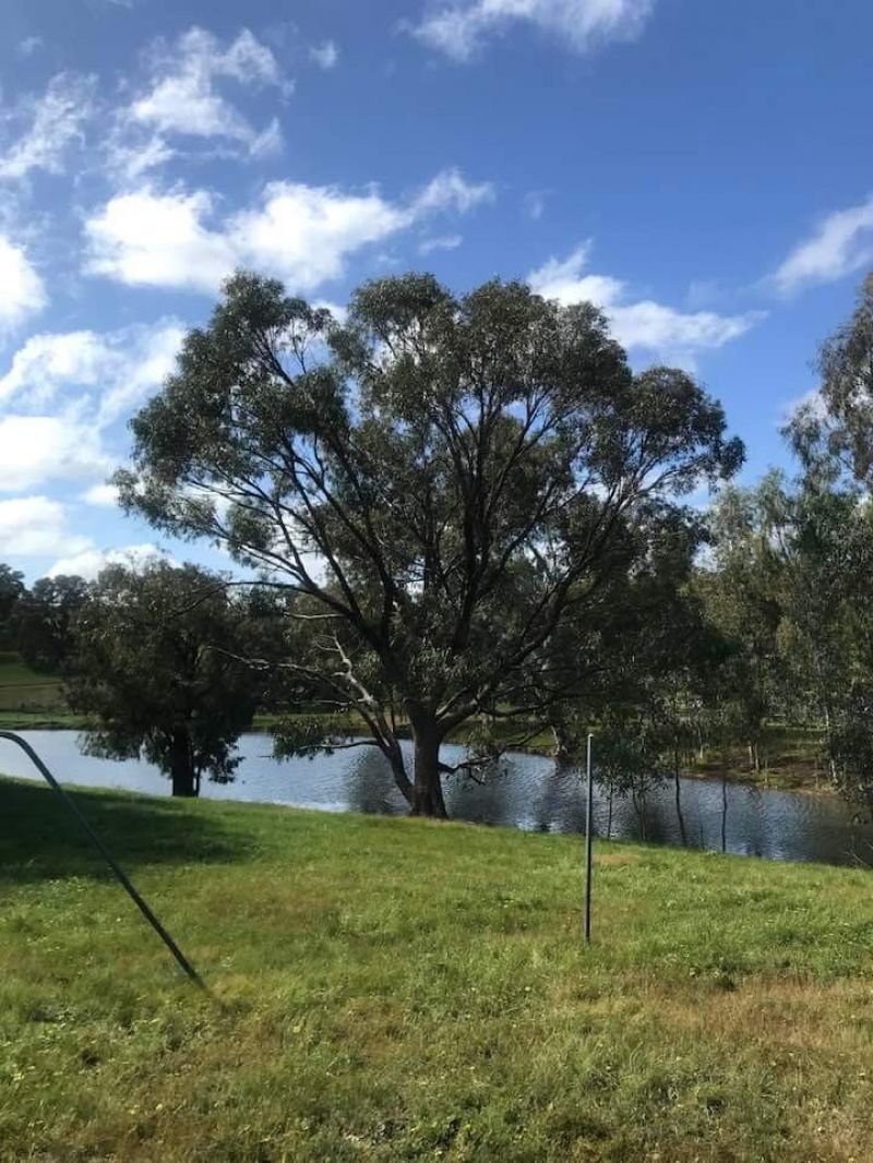 Photo - Lot 205 Nanga Brook Rd , Waroona WA 6215 - Image 13