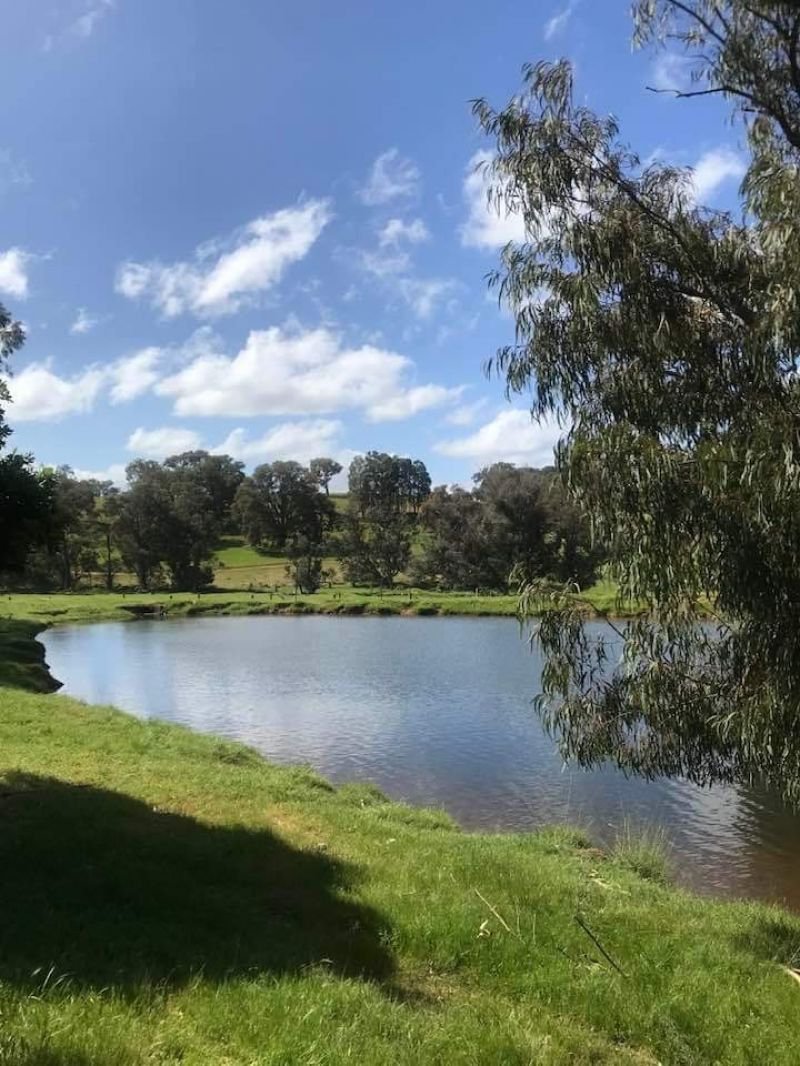 Photo - Lot 205 Nanga Brook Rd , Waroona WA 6215 - Image 14