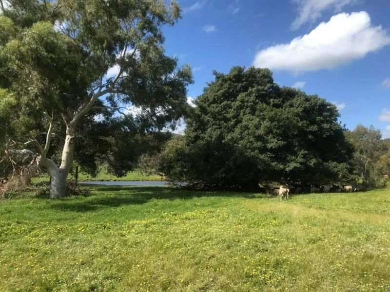 Photo - Lot 205 Nanga Brook Rd , Waroona WA 6215 - Image 15