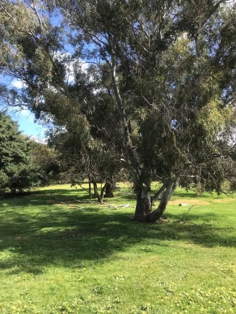 Photo - Lot 205 Nanga Brook Rd , Waroona WA 6215 - Image 18