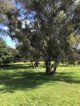 Photo - Lot 205 Nanga Brook Rd , Waroona WA 6215 - Image 18